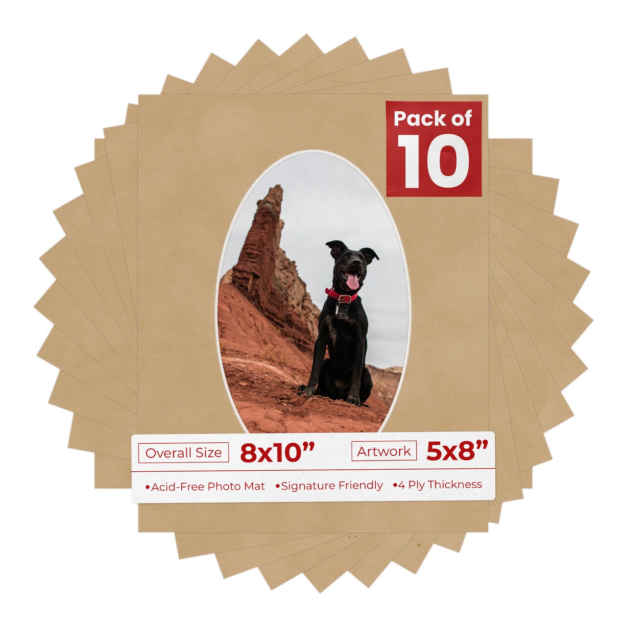 Beige Suede Mat Board for 8x10 Frames - Oval Opening for 5x8 Photos